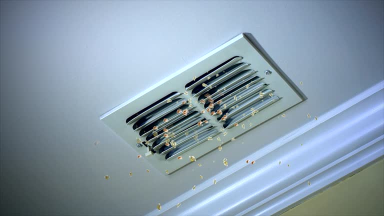Best Local Air Duct Cleaning Services  in Fort Pierce North, FL