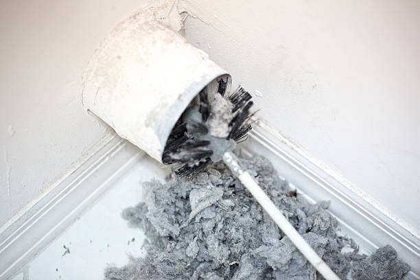 Best Professional Duct Cleaning Services  in Fort Pierce North, FL